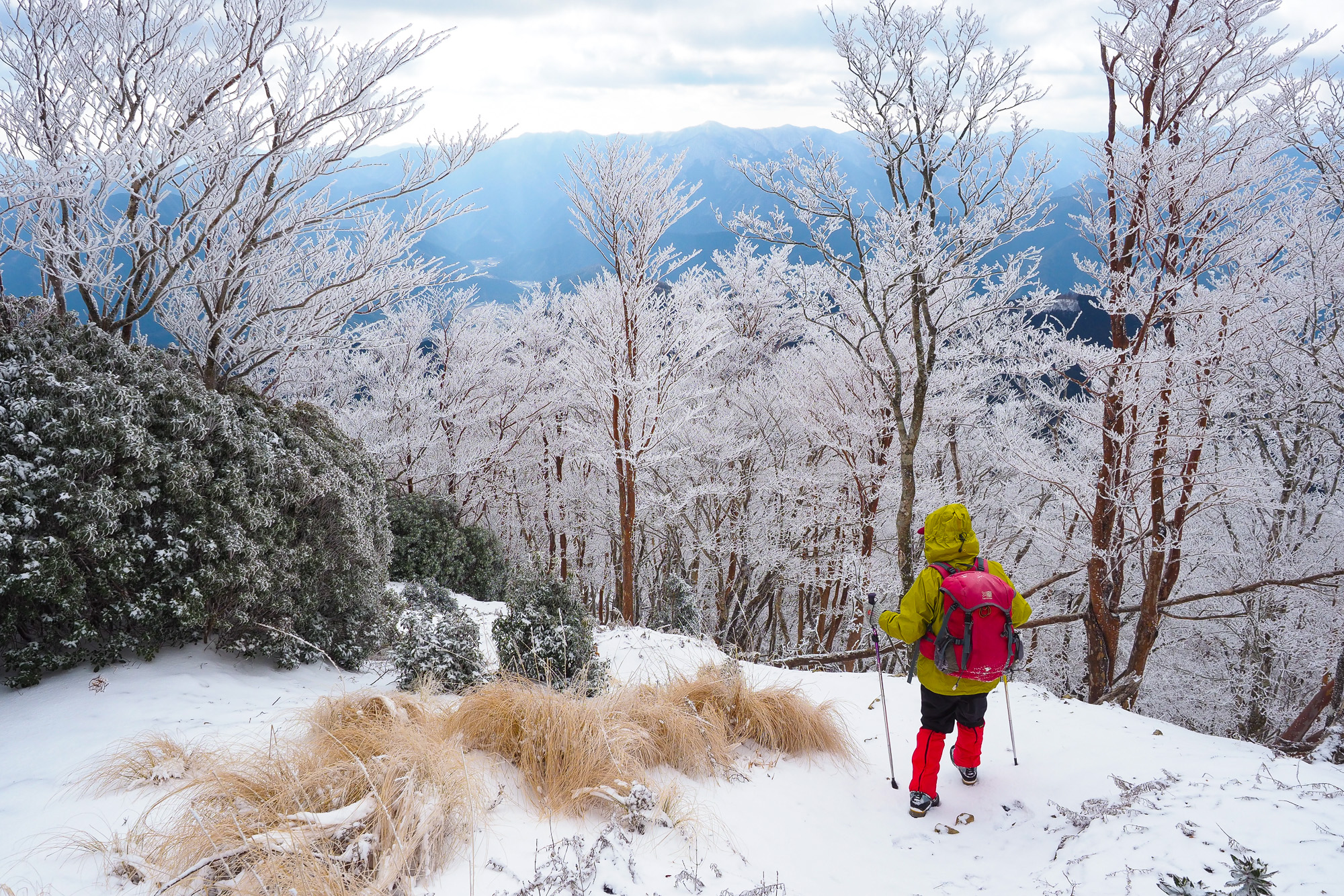 三峰山（高見山地）2019年2月10日　No.1191