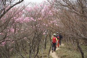 国見岳周回（鈴鹿）2019年5月6日　No.1213