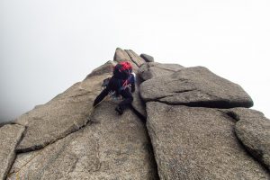 御在所岳前尾根（鈴鹿） 2019年7月10日　No.1233