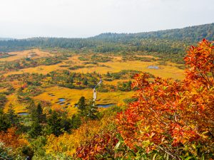 八甲田山（青森） 2019年10月1日　No.1244