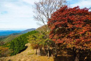 木梶山（台高） 2019年10月23日　No.1250