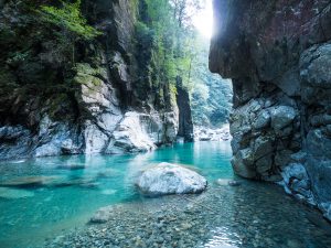 大杉渓谷＆日出ケ岳（台高）2019年11月1日2日　No.1253