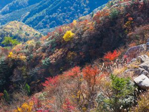 鎌ケ岳（鈴鹿）2019年11月7日No.1254