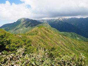 銚子ケ峰（両白山地）　初夏の花を見に行く