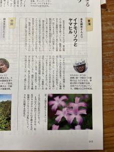 山と渓谷　2011年8月号