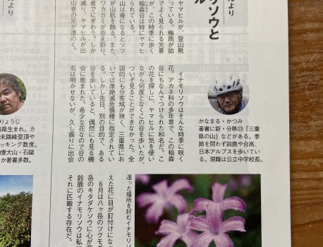 山と渓谷　2011年8月号