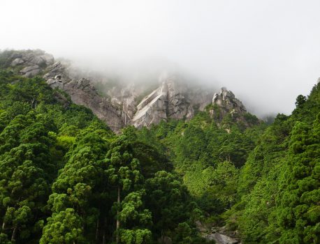 御在所岳前尾根の登攀