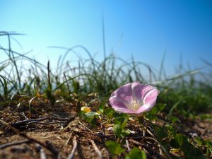 M.ZUIKO 12-200mmf3.5-f5.6 12-40mmf2.8比較