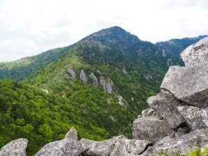 大峰釈迦ヶ岳の風景と野鳥　2020年5月30日