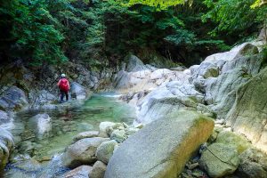 野洲川支流元越谷の沢登り