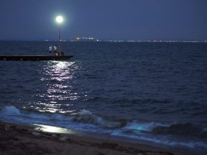 海岸の夜釣り