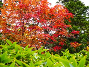 十石山（乗鞍山系）に登る