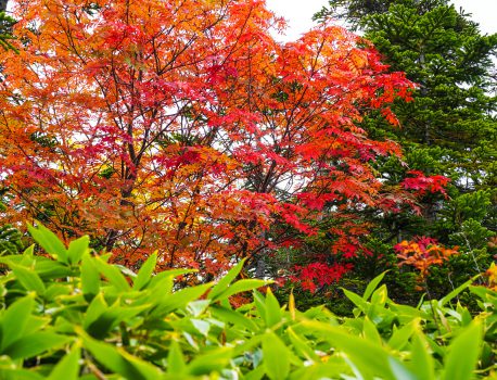 十石山（乗鞍山系）に登る