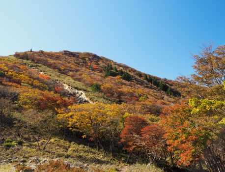 鈴鹿の盟主、御在所岳は紅葉もきれい