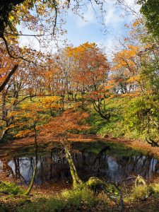 御池岳　鈴北岳　紅葉