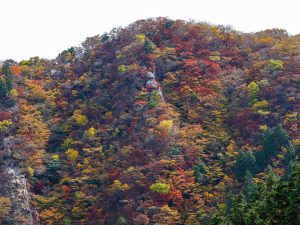 仙ケ岳　宮指路岳　