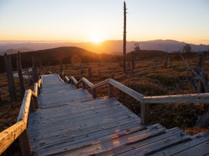 晩秋の大台ヶ原
