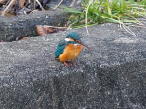 デジタルテレコン　2020.2.7