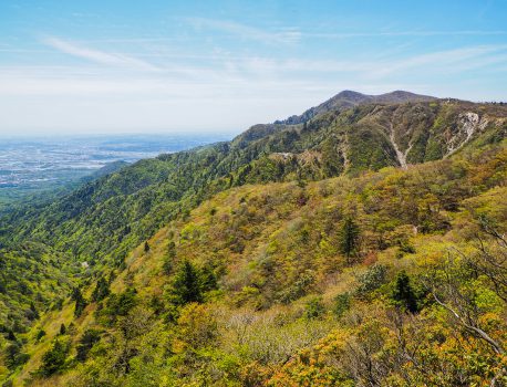 三池岳（鈴鹿）歴史ある八風街道を歩く　2021.5.6