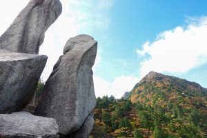 御在所岳藤内壁後尾根を登る　2021年10月31日