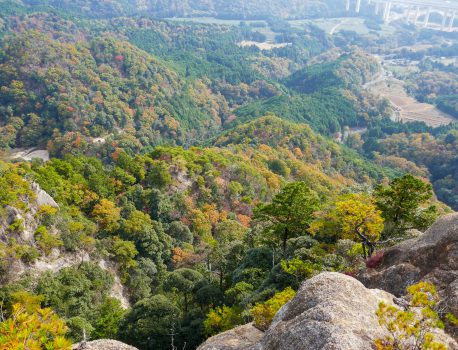 鈴鹿山系鬼ヶ牙の岩場　東峰南第２尾根を登る