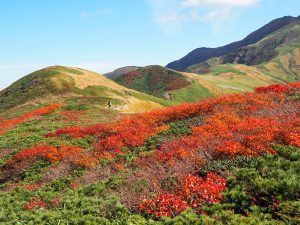 紅葉の月山に登る　東北の山　2021年9月29日