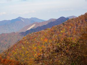 台高山地　池木屋山から迷岳縦走　2021年11月2日
