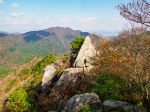 鈴鹿山系　入道ケ岳　宮妻からイワクラ尾根周回　2021年１１月