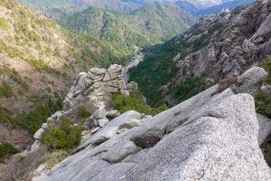 御在所岳前尾根の登攀　鈴鹿山系2021年12月11日