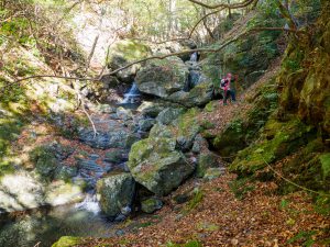 南亦山　滝ヤ谷ルート登山 　紀伊山地　2021年11月29日