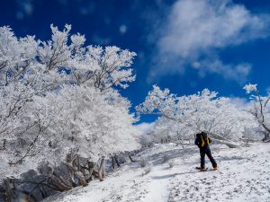 台高山地　冬の桧塚に登る 2022年1月19日