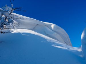 鈴鹿山系　冬の鎌尾根敗退の記　2022年1月22日