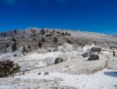 高見山地三峰山で霧氷の撮影　2022年2月11日