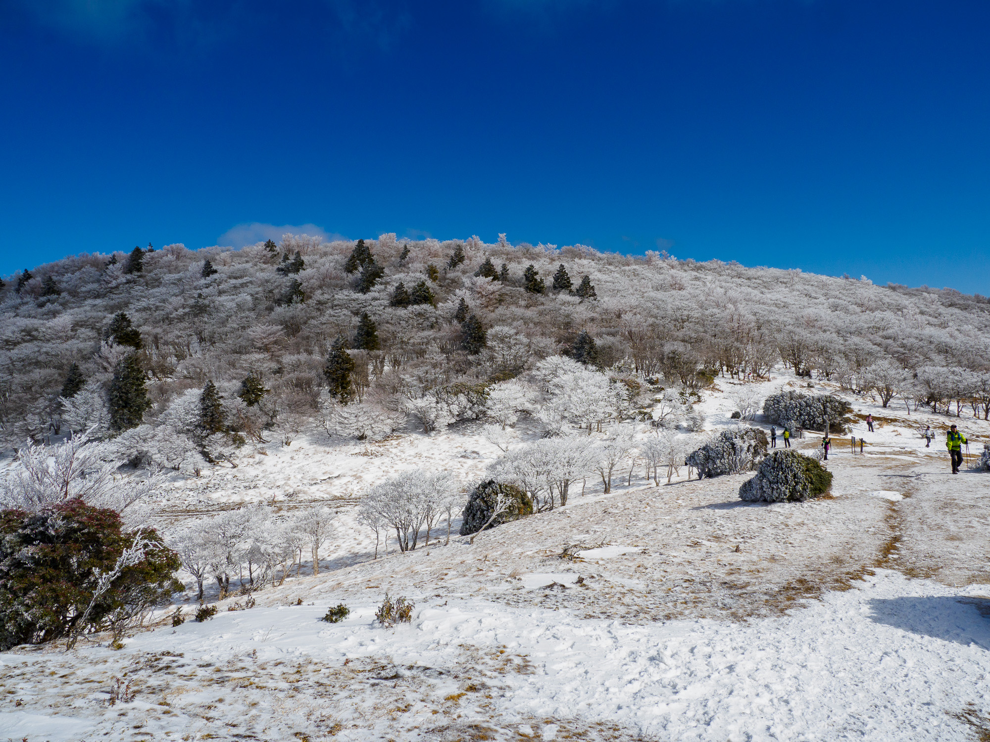 高見山地三峰山で霧氷の撮影　2022年2月11日