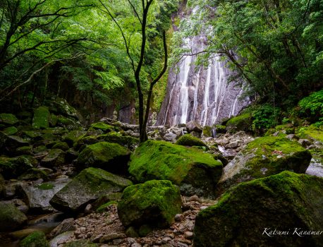 子の泊山（三重県紀宝町）山麓滝巡り　2022/5/10