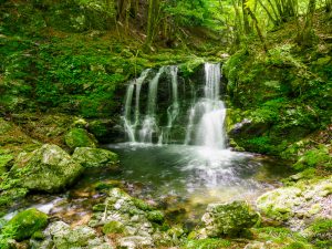 明神岳・桧塚周回（台高山地）2022/5/18