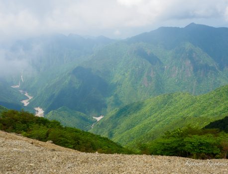 堂倉山・マブシ嶺（大台ヶ原）尾鷲道を歩く　2022/5/24