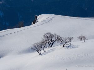テーブルランドでスノーハイク御池岳 2023/1/12