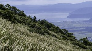 伊吹山の自然とイヌワシ観察No.30　観察会　2024年8月24日