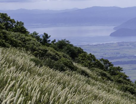 伊吹山の自然とイヌワシ観察No.30　観察会　2024年8月24日