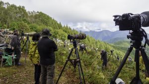 白樺峠でタカの渡りを観察　2024年9月24日