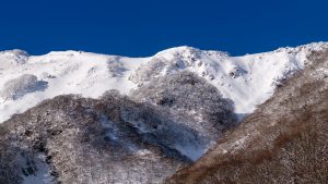 笹又から伊吹山静馬ヶ原　2024年12月25日