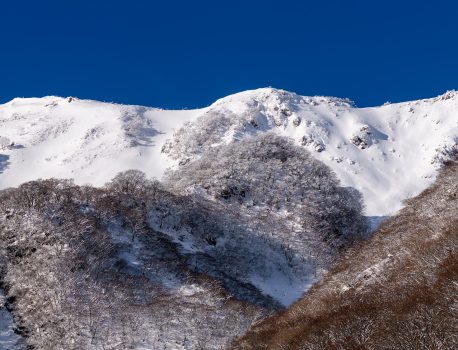笹又から伊吹山静馬ヶ原　2024年12月25日