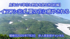 鳥海山で草花と野鳥を見る旅2025前編　2025年7月3日