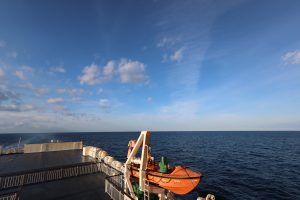 オオワシ秋の渡り2025宗谷岬 day1　day2　2025年１０月２５日