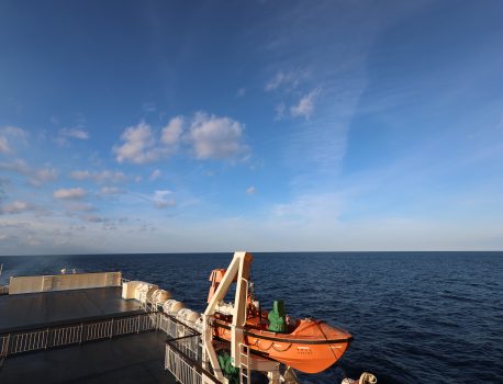 オオワシ秋の渡り2025宗谷岬 day1　day2　2025年１０月２５日