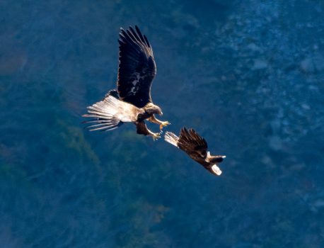 登山で楽しむ自然と野鳥2025 2025年11月30日